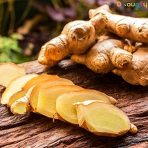 디카운티 햇 생강 국내산 흙생강 일반생강 개량종 토종생강 최상급 특품 추천 1kg 3kg 10kg, A. [일반생강]개량종 1kg, 1개