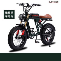 AKEZ 신형MBT 레트로전기자전거 광폭타이어 팻바이크 20인치전기자전거 자토바이 4.0, 그린단전지18AH, 20인치
