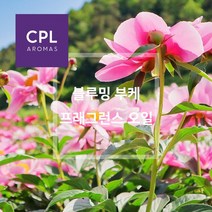 블루밍 부케 향 프래그런스오일 20ml 500ml 영국 CPL 아로마 캔들 디퓨져 재료