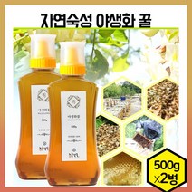 노고단향 벌꿀 국내산 아카시아꿀 자연숙성 토종꿀 지리산꿀 벌집꿀 야생꿀 자연꿀 500g 국산꿀 꿀세트, 2개