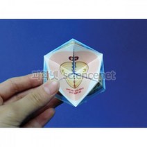유비 세포분열과정퍼즐 H(5인) 937681, 단품
