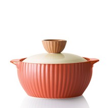 네오플램 네이처쿡 뚝배기 밸리 양수냄비, 16cm, 1개