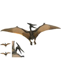 모형 완구 프테라노돈 모형완구 프테라노돈모형