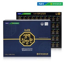 참향 22% 고함량 100환 대용량 농협 침향환 생력 침향단 침향원 부모님 건강 효도선물 명절선물