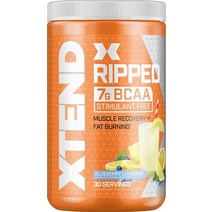 엑스텐드 립트 7g BCAA 파우더 블루베리 레모네이드 맛 30회분 근육 회복 아미노산 헬스 보충제 부스터, 1.09파운드 1팩, 블루 베리 레모네이드