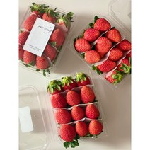 [윤당] 제철 프리미엄 특 2단 딸기 1+1 / 500g2팩 / 당일경매 신선배송 설향 죽향 금실 메리퀸 장희 500g / 1kg / 2kg