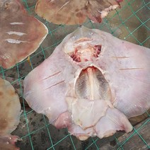 반건조 간재미 1kg 4 6미 자연산 갱개미 @A, 할인_상품선택_특가