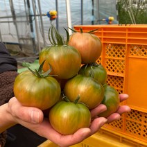 대저토마토 짭짤 토마토 2.5kg 부산 산지직송, 1박스, 짭짤 토마토 중과 2.5kg (3~4번)