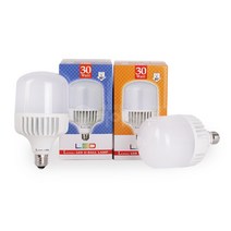 롱 LED U 보안등 30W, 1개, 주광색