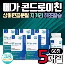 식약처 HACCP 인증 메가 콘드로이친 60정 5통 해조칼슘 우슬 보스웰리아 초록입홍합 상어연골 분말 히알루론산 아연 콘도로이친 콘드라이친 장모님 장인어른 생일 생신 선물