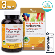 귀 이명에좋은영양제 비타민B 마그네슘 귀울림 이명영양제 비타민b6