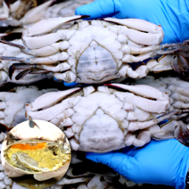 [안군수산] 국산 연평도 알배기 암꽃게 급냉 냉동 꽃게, 12. 급냉 숫꽃게 특대 2kg(4~6미), 1개