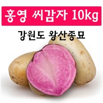 강원도 왕산종묘 씨감자 (홍영 10KG) 강원도 정품 씨감자 자색 홍색 빨간감자 빨간색 씨감자 홍영 10KG, 홍영10kg