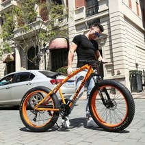 MTB 자전거 산악 바퀴큰 타이어 폴샥 오프로드 접이식 풀샥 광폭 자이언트, 21 속도, 24인치, E