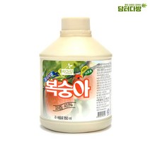 맛있는(무배) 차그림 농축과일원액 복숭아 원액 850ml사무실 대용량 업소용 식당용 간식 소스, 상세페이지 참조, 상세페이지 참조