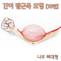 10인 풍선 팔근육 움직임 관찰 모형 만들기 몸 인체모형 신체 초등학생 원리 제작 우리몸 조립 창작