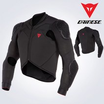 브랜드없음 다이네즈 2021상체보호대 RHYOLITE SAFETY JACKETLITE, 선택완료, L