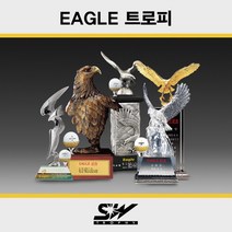 브랜드없음 골프 트로피 메달리스트 이글 시상식대회트로피 _SWT-355, 선택완료