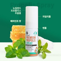 [엔젯오리진] 프리미엄 프로폴리스액 스프레이 (15mlX3), 단품, 단품