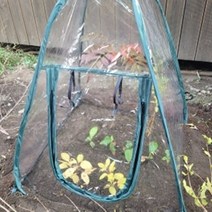 테라스 미니온실 보온덮개 다육이 허브 육모 야외 비닐하우스