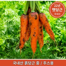 국내산 햇 흙당근 최상품 제주도 강원도 경남 중 주스용 3kg 5kg 10kg, 중(주스용)