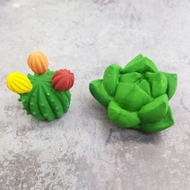 몰드몰 수제몰드 - 선인장 ( 13번 14번 ) 3D 선인장캔들만들기 선인장비누 선인장몰드 다육이몰드