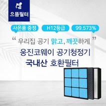 AP-1008DH필터 웅진코웨이공기청정기호환/AP-1013F, 선택완료, 단품