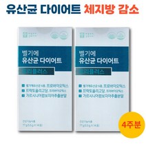 벨기에 유산균 다이어트 트리플러스 체지방감소 가르시니아 분말 가루 스틱, 5.5g/14포, 2
