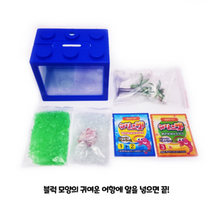 에코에듀 바다새우 키우기 키트 어린이 교육용, 3개