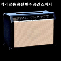 스피커 휴대용 일렉기타앰프, E.Arnoma 전문 연주 및 노래 스피커