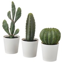 이케아 페이카 인조식물+화분3P 실내외겸용 선인장 6cm 화분지름6cm 폴리에틸렌