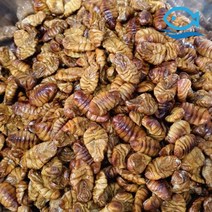 바다해 냉동 번데기 1kg 국민간식 주전부리 술안주, 단품
