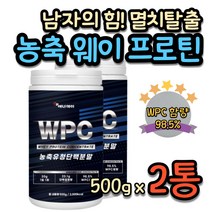 등근육 멸치탈출 웨이트 트레이닝 게이너 PROTEIN 프로테인 농축 유청분말 단백질 근육 키우기 고농축 프로틴 타먹는 쉐이크 20대 30대 운동 헬스 보조제