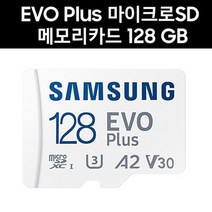 삼성전자 루카스 큐비아 이글Q QR939 마이크로SD카드 128G EVO PLUS MicroSD, 128GB