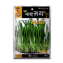 모칸도 세계 새싹귀리 씨앗 500립, 1개