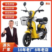 접이식 전동자전거 전기자전거 배달 렌탈 키트 폴딩 전기 성인 48v 이륜 2 인용 배터리 스쿠터 자전거, Double 색상 yellow+48v20a Lead a