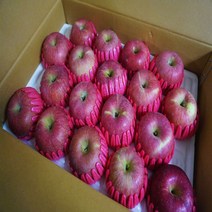[경북사과]고당도 알뜰 햇사과 특가행사 가정용, 1box, 10.가정용 사과 5kg/특대과