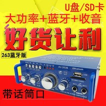프리 진공관 앰프 엠프 블루투스 미니 소형공방기 스피커 파워앰프 직류 12볼트 220V, 07 12v220v253 블루투스 내장(블루