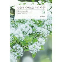 한눈에 알아보는 우리 나무 3 : 차이점을 비교하는 신개념 나무도감, 박승철 저, 글항아리
