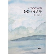 눈물 속에 핀 꽃:장은아 장편소설, 문이당, 장은아