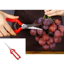 히뚜상점 원예 전지가위 18.5CM 꽃꽂이가위 소나무가지치기 양손전지가위 가지치기가위 전지용가위 전지가위가격 하우스자재 조경자재 원예공구, 1개