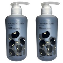 1+1 청미정 흑곡 샴푸 청미정 약산성 지성두피샴푸 비듬샴푸 500ml