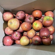 쥬스용 가정용흠집 홍로 사과 6kg 갈아먹는용도입니다
