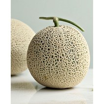 새벽배송 고당도 머스크 메론 4kg 8kg 프리미엄 멜론, 새벽배송 (특1등급) 머스크메론 4kg 내외 2수, 1개