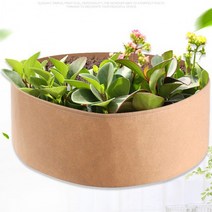 중형 텃밭 만들기 화분(베이지), 상세페이지 참조, 상세페이지 참조