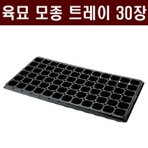 [주식회사 범농] 육묘 모종트레이(30장) - 육묘장 수목 묘목 배추 고추 상추 양파 대파 마늘 트레이 화분, 50구