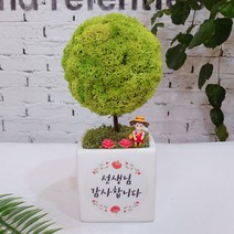 스칸디아모스 어버이날 스승의날 선물 공기정화식물 나무 액자 화분, 모스 빅큐브 선생님 감사 트리-스프링그린