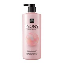 미쟝센 펄 샤이닝 리페어 퍼퓸 트리트먼트 피오니향 1000ml