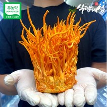 [KT알파쇼핑]에코팜 무농약 귀리동충하초 3개 (개당180g-220g)