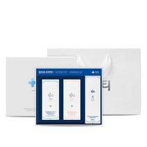 링티 일반식품 선물세트 레몬맛 1박스+복숭아맛 1박스+원형보틀, 없음